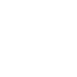 DQ